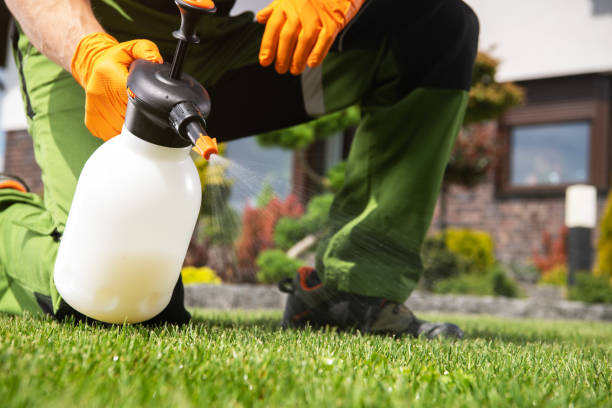 Best Rat Extermination Near Me  in Pahala, HI