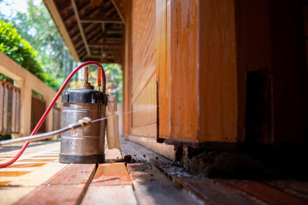 Best Pest Prevention Services  in Pahala, HI