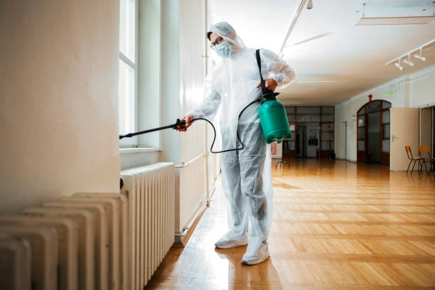 Best Bed Bug Extermination  in Pahala, HI